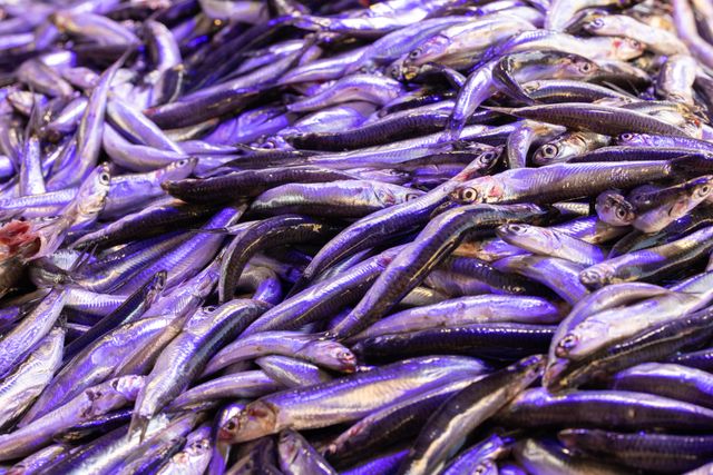 Oily fish, rich in omega-3 fatty acids